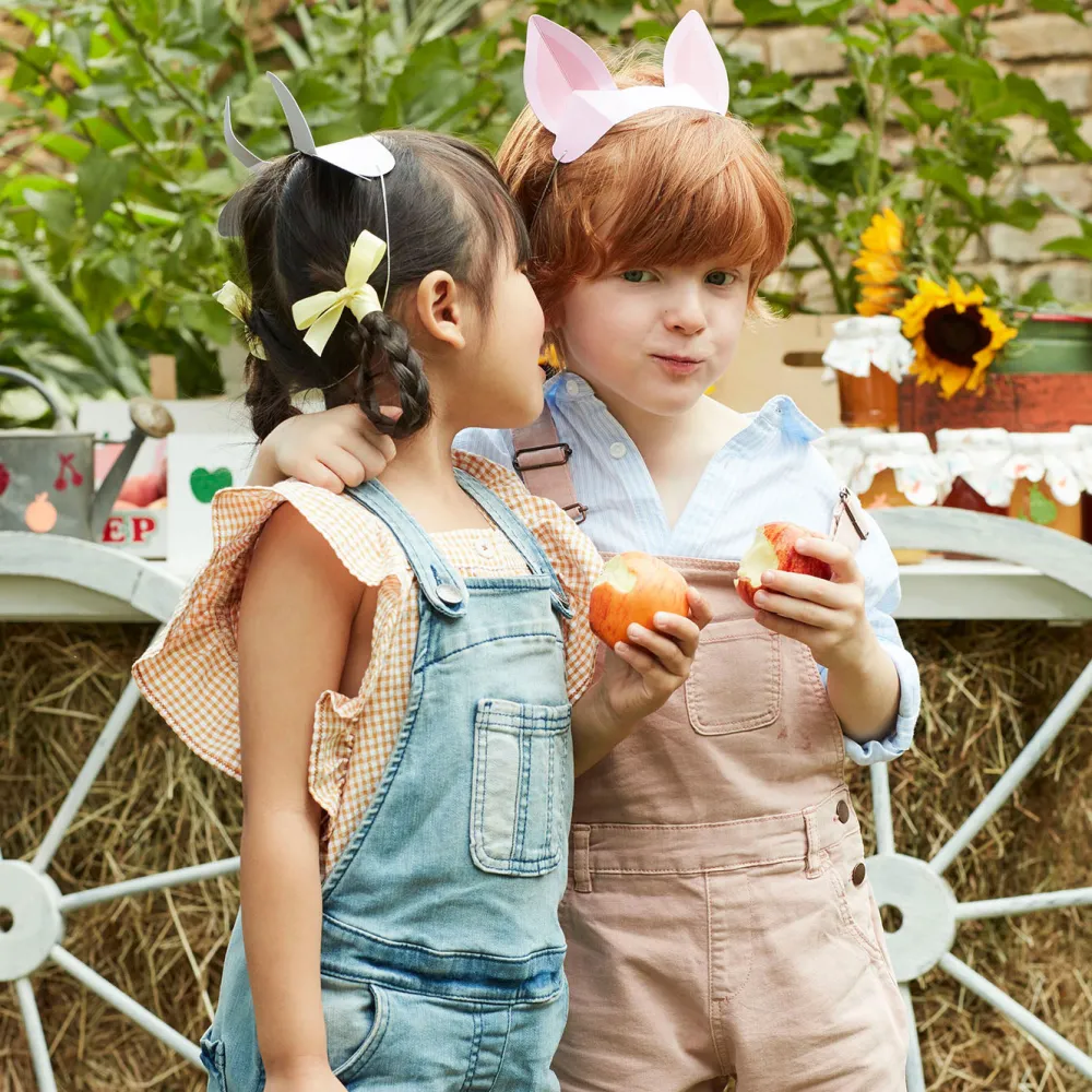 Cheap Meri Meri 8 Farm Animal Hats