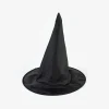 Best Party Pro 1 Halloween Witch Child Hat