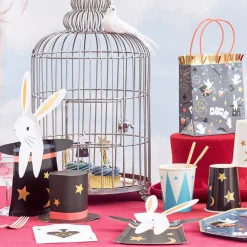 Best Meri Meri 8 Magician'S Hat Plates