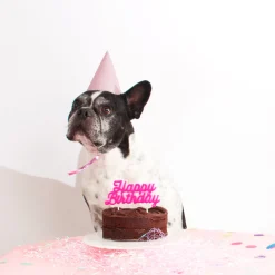 Flash Sale Rico Design 8 Pointed Hats - Pink And Metallic