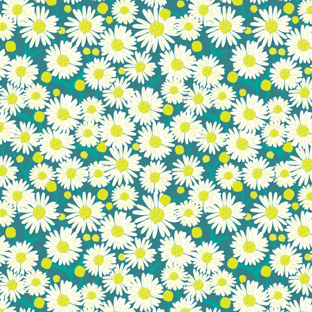 Cheap House of Products 1 Roll Of Daisy Green Wrapping Paper