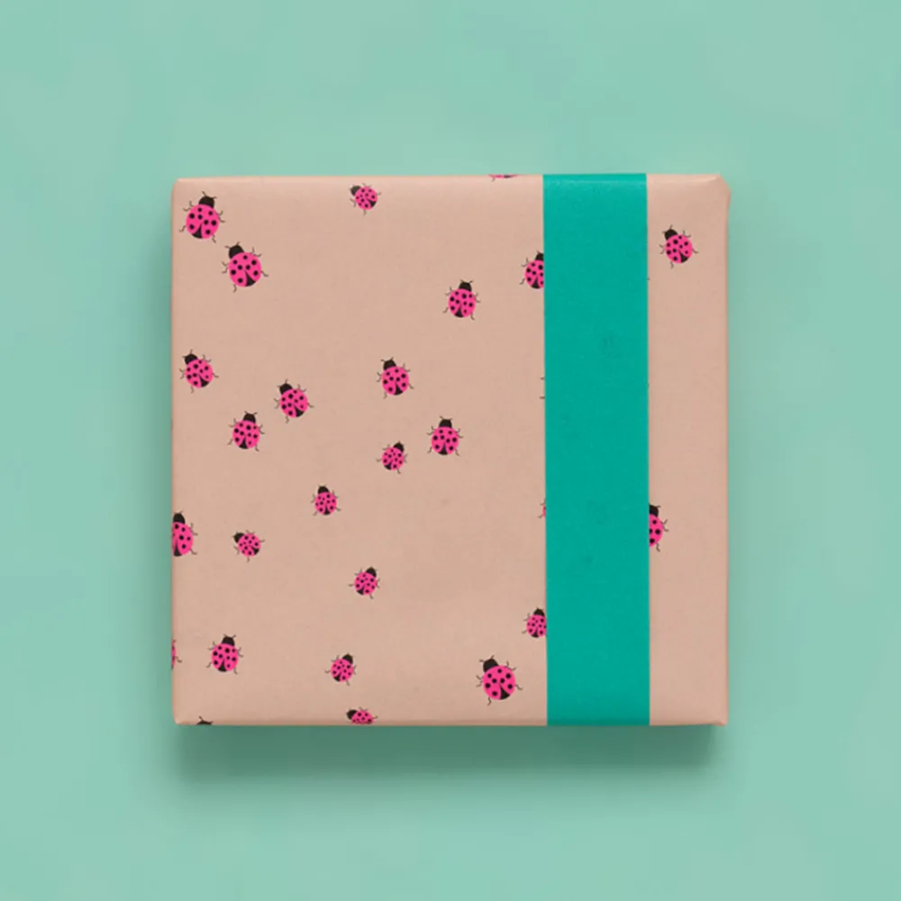 Shop House of Products 1 Roll Of Pink Ladybug Wrapping Paper