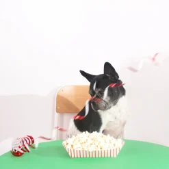 Hot Unique Party 4 Striped Red Trays