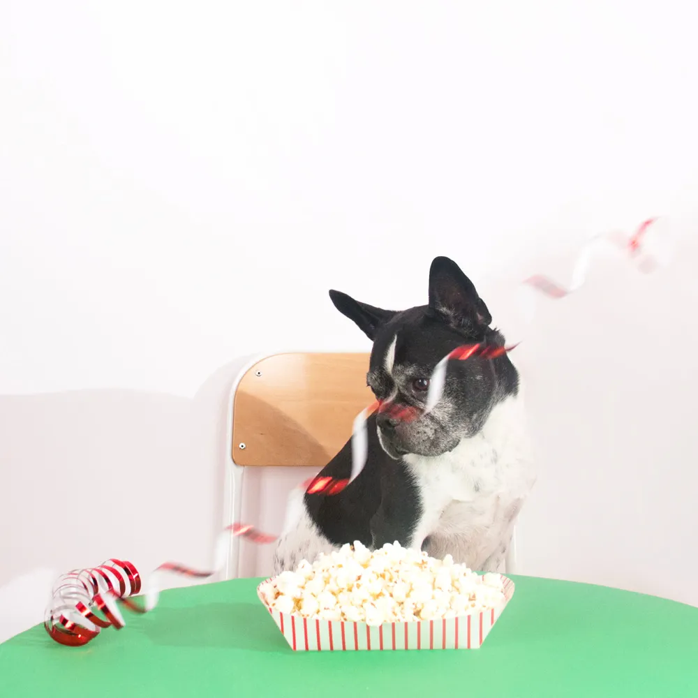 Hot Unique Party 4 Striped Red Trays