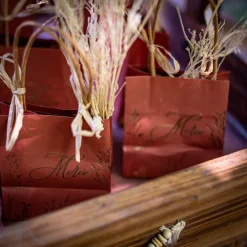 Outlet Arty Fêtes Factory 6 Thank You Twig Terracotta Gift Bags