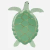 Clearance Meri Meri 8 Turtle Plates