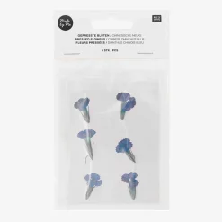 Discount Rico Design Blue Dried Flowers: Chinese Dianthus