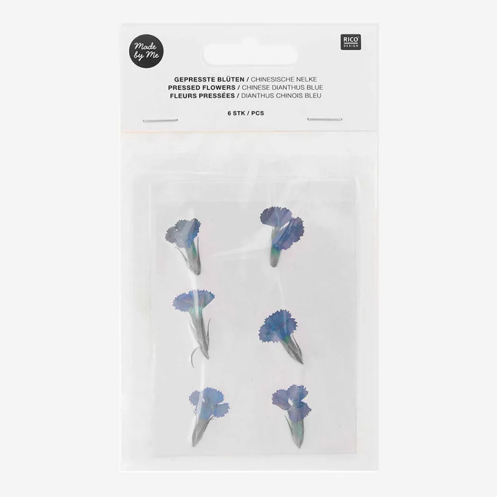 Discount Rico Design Blue Dried Flowers: Chinese Dianthus
