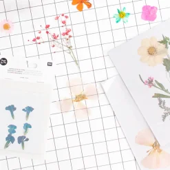 Discount Rico Design Blue Dried Flowers: Chinese Dianthus