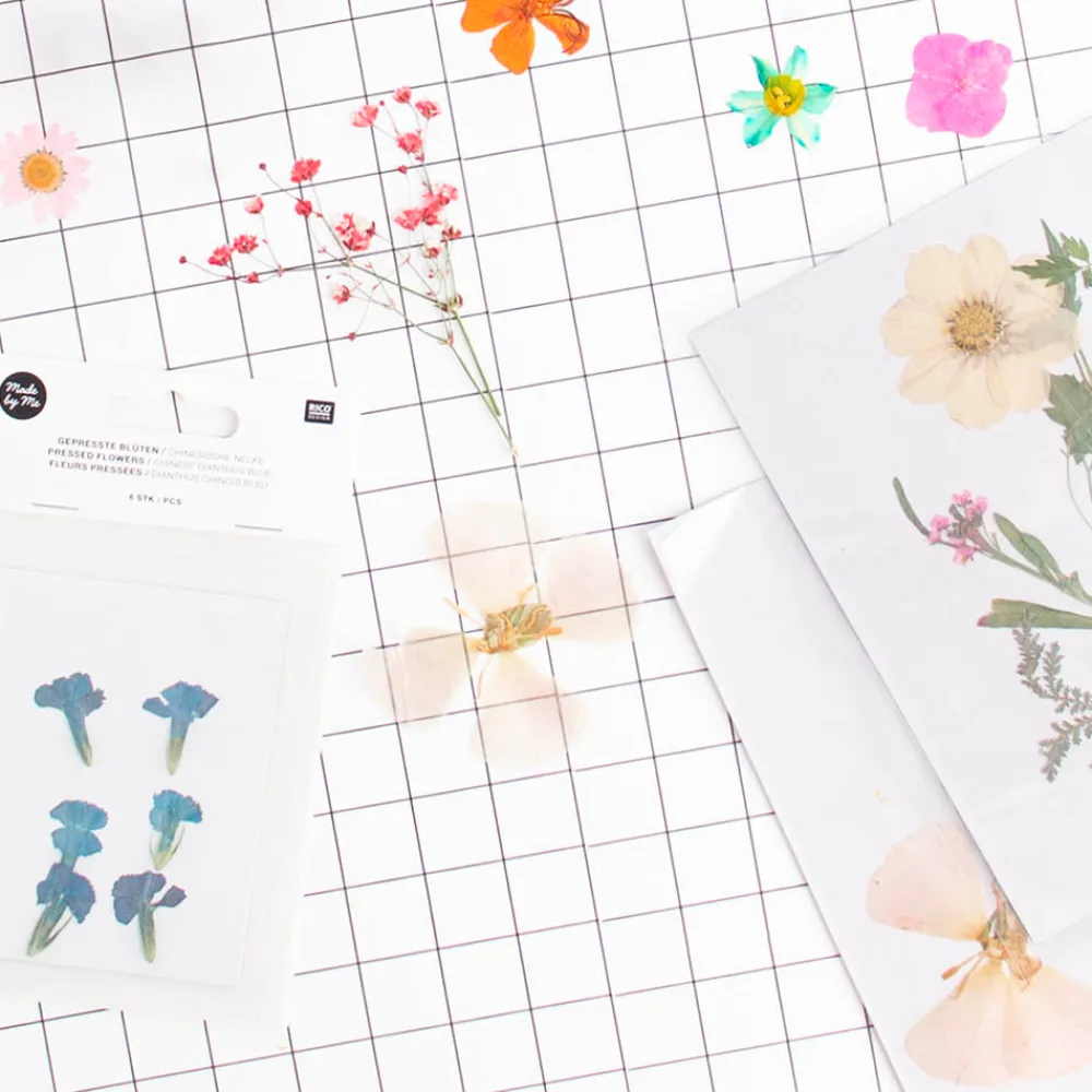 Discount Rico Design Blue Dried Flowers: Chinese Dianthus