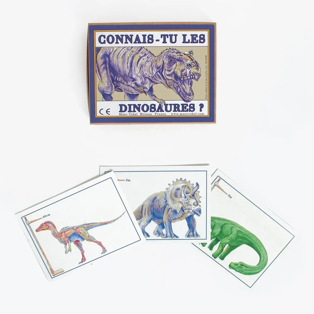 Flash Sale Marc Vidal Cards: Do You Know Dinosaurs?