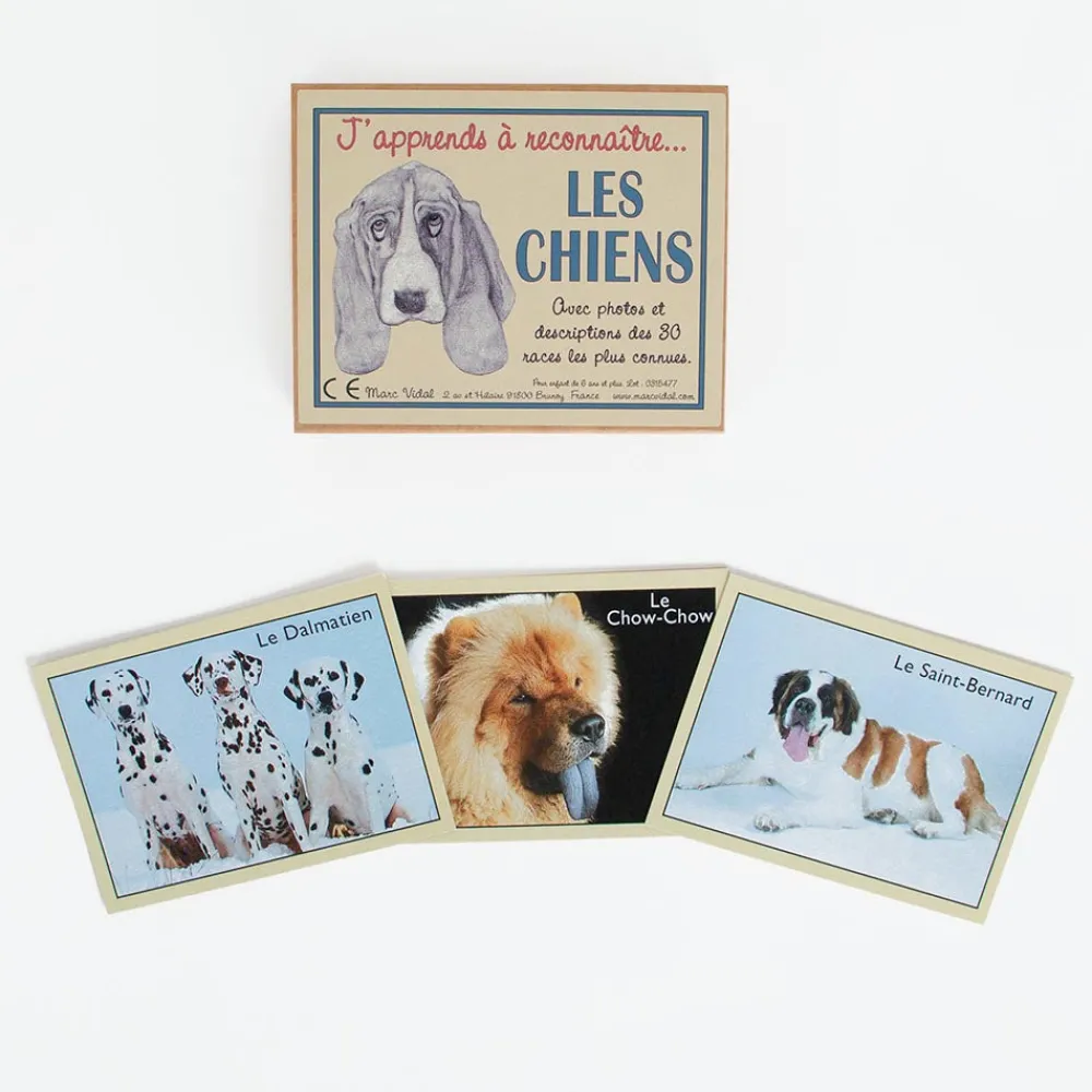 Best Marc Vidal Cards: I Am Learning To Recognize Dogs