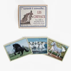 Outlet Marc Vidal Cards: I Am Learning To Recognize Horses