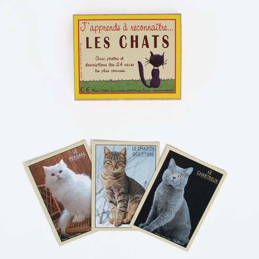 Cheap Marc Vidal Cards: I Am Learning To Recognize Cats