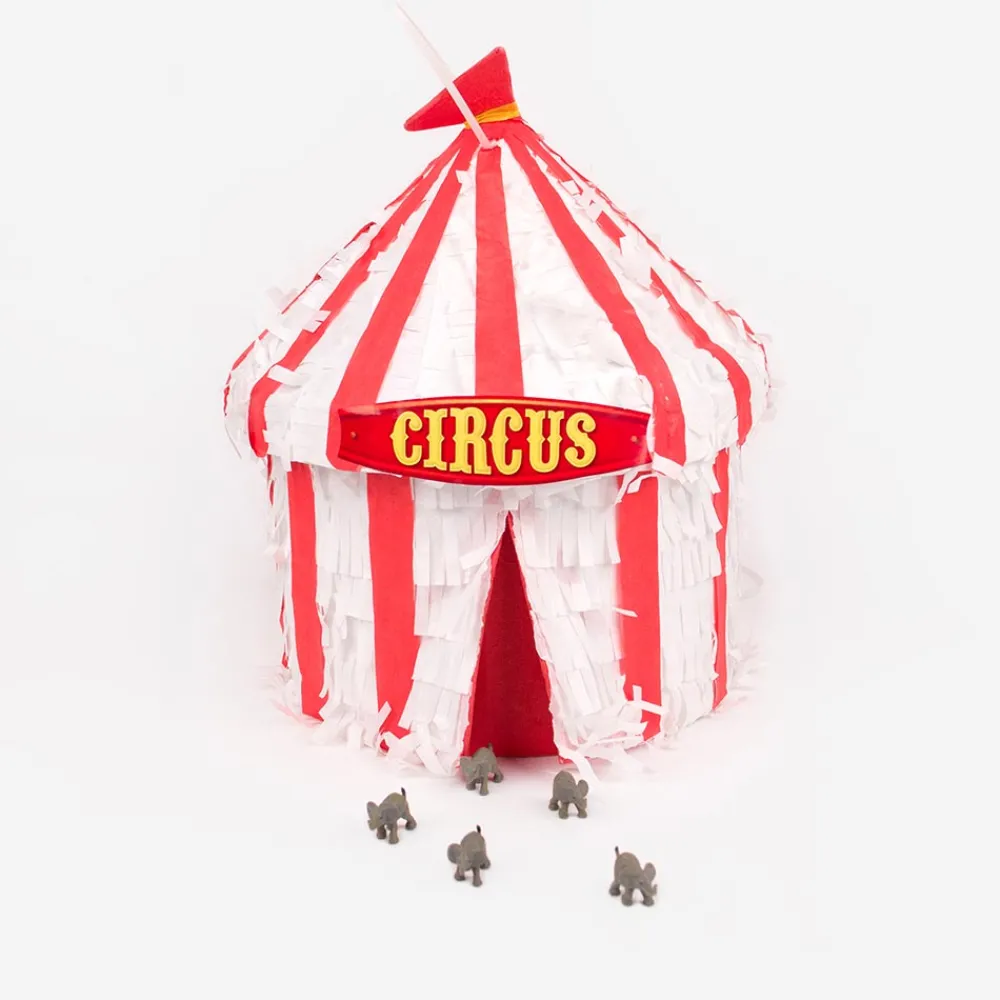 New Party Pro Circus Pinata