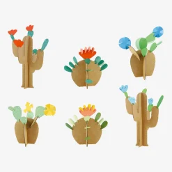 Cheap Pirouette Cacahouete Creative Leisure Kit: 6 Cacti To Create