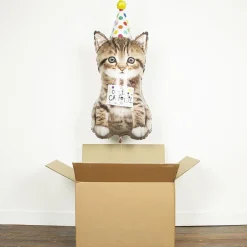 Cheap Grabo Balloons Cute Kitten Balloon