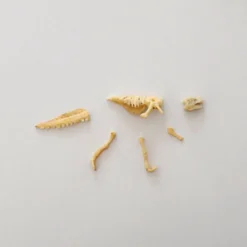 Shop Dam Dinosaur Workshop