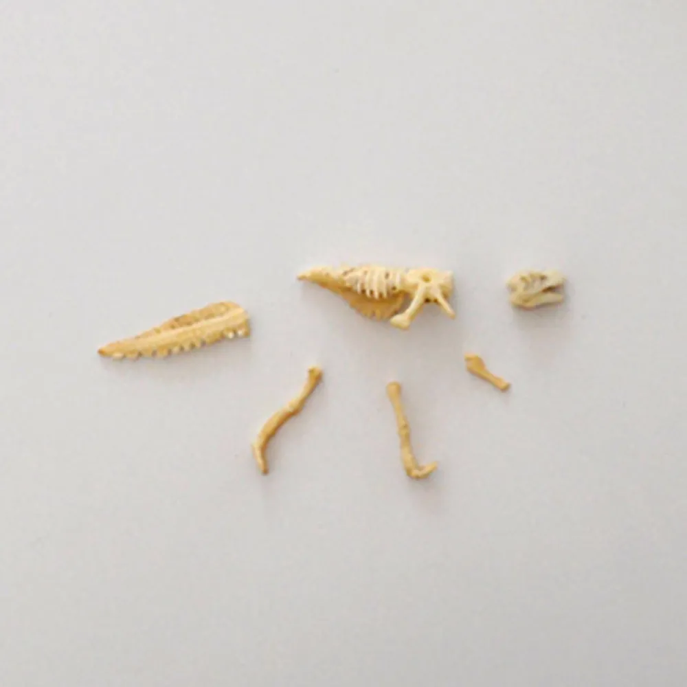 Shop Dam Dinosaur Workshop