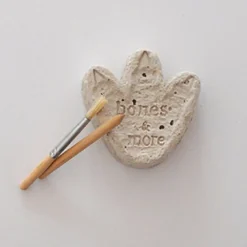 Shop Dam Dinosaur Workshop