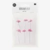 Clearance Rico Design Dried Flowers: Ammi Rose