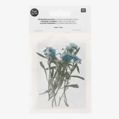 New Rico Design Dried Flowers: Blue Alysson