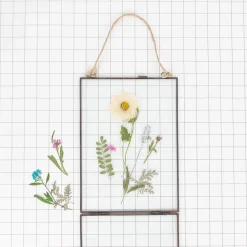 New Rico Design Dried Flowers: Blue Alysson