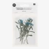 Sale Rico Design Dried Flowers: Blue Alysson