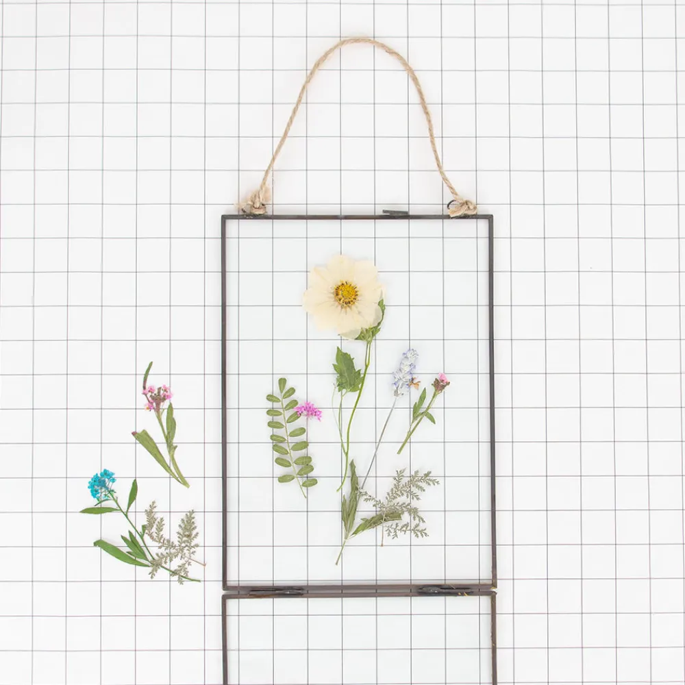 Sale Rico Design Dried Flowers: Blue Alysson