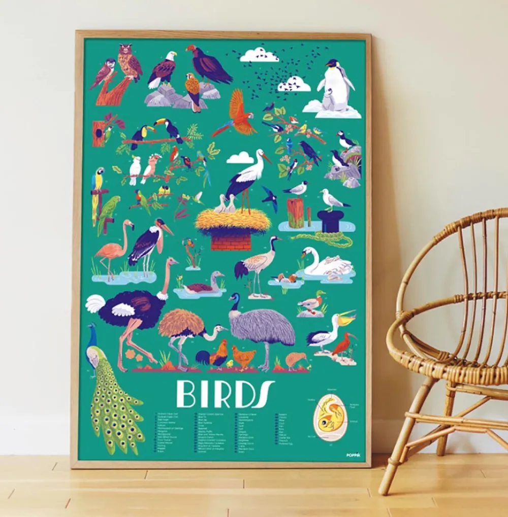 Best Sale Poppik Educational Poster + 45 Stickers: Birds