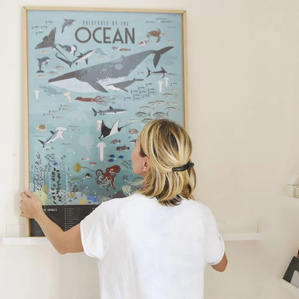 Fashion Poppik Educational Poster + 59 Stickers: Oceans