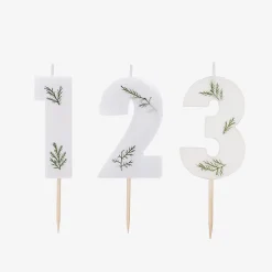 Clearance Ginger Ray Foliage Birthday Candle