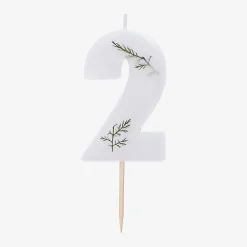 Clearance Ginger Ray Foliage Birthday Candle