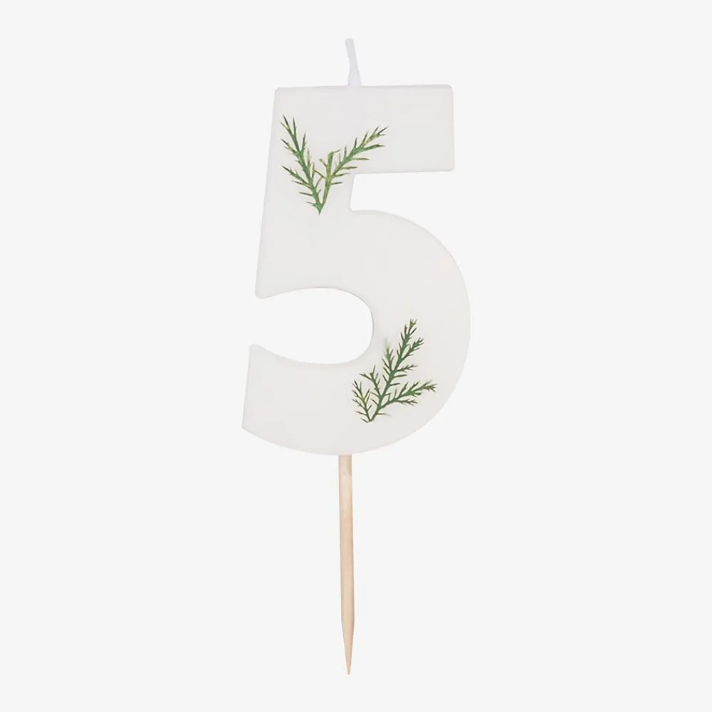 Clearance Ginger Ray Foliage Birthday Candle