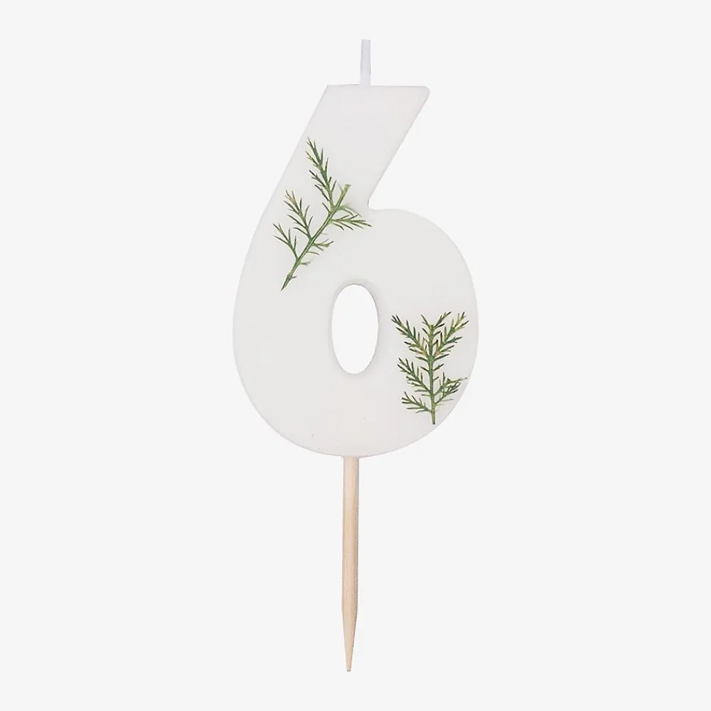Clearance Ginger Ray Foliage Birthday Candle
