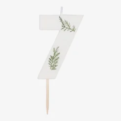 Clearance Ginger Ray Foliage Birthday Candle