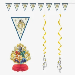 Best Unique Party Harry Potter Decoration Kit