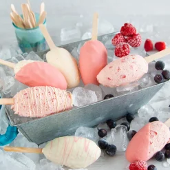 New Stadter Ice Cream Cake Mold