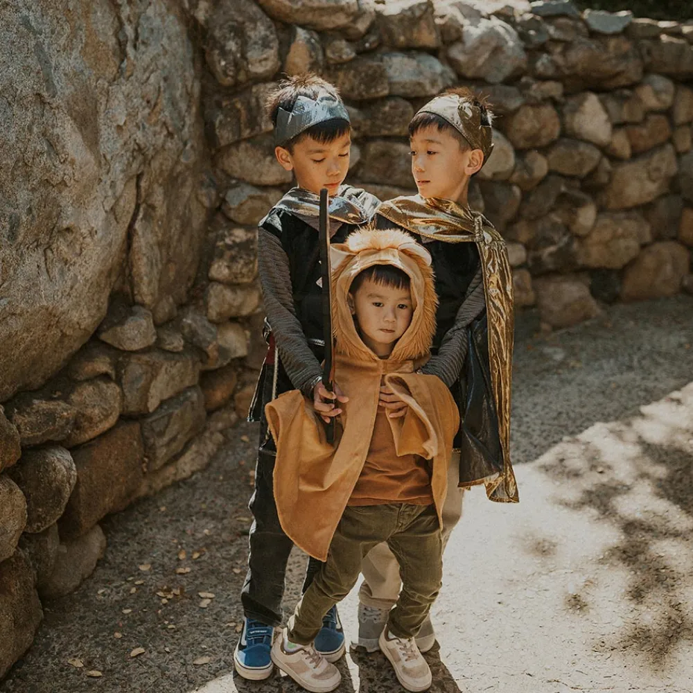 Online Great Pretenders Knight Costume