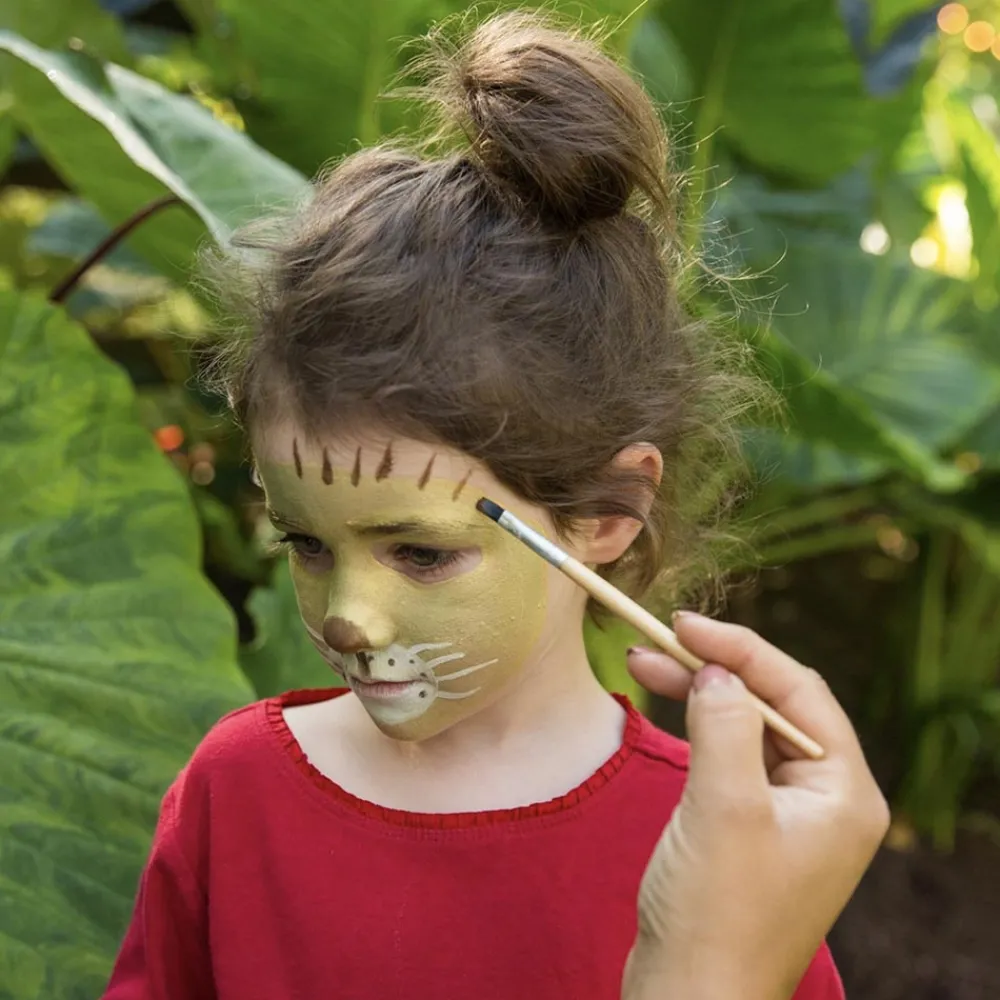 Best Namaki Lion & Giraffe 3 Color Makeup Palette