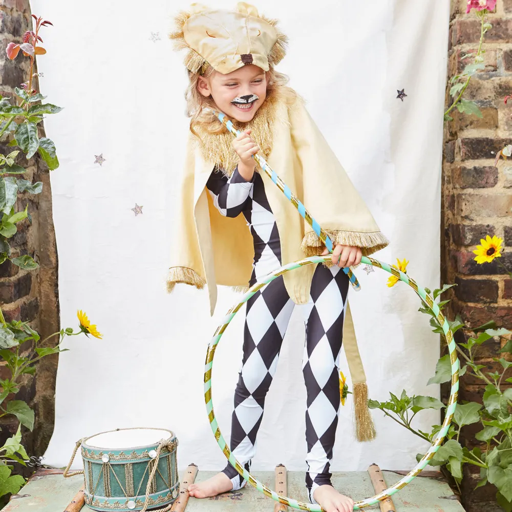 Flash Sale Meri Meri Lion Costume