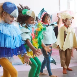 Flash Sale Meri Meri Lion Costume