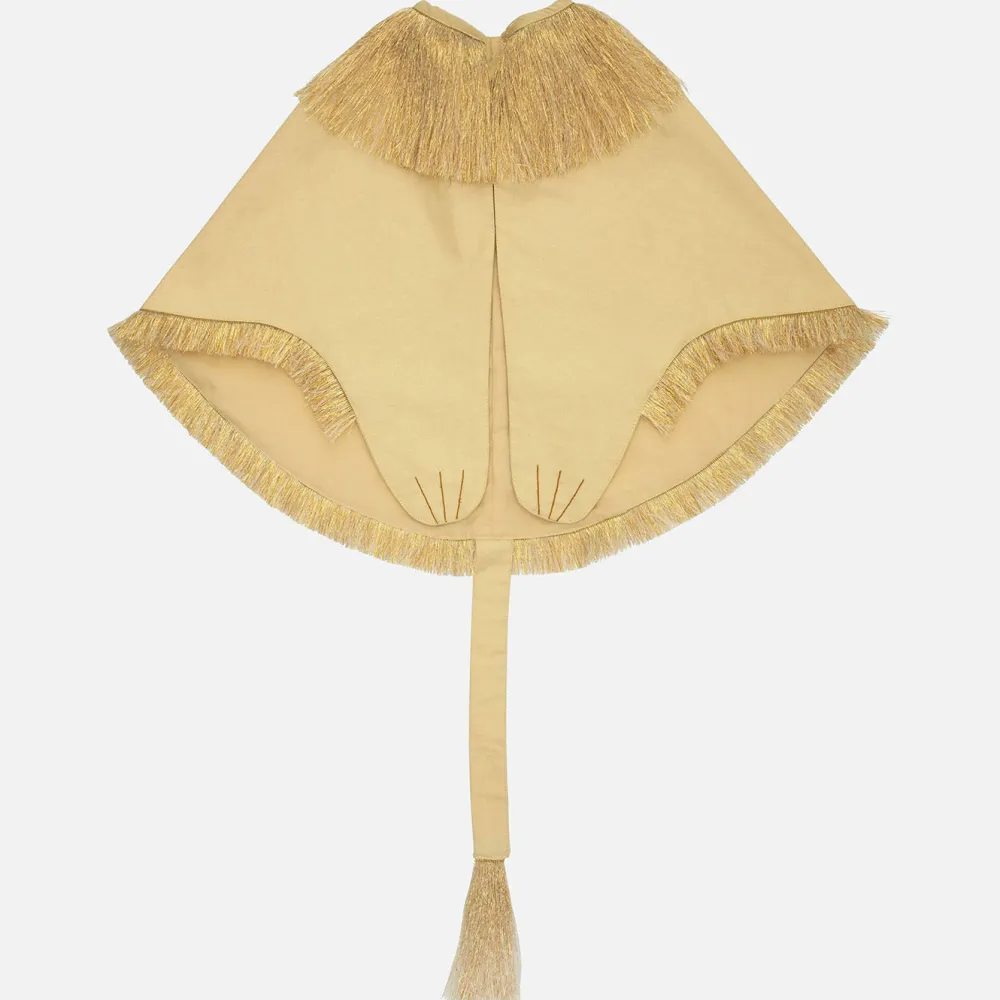 Flash Sale Meri Meri Lion Costume