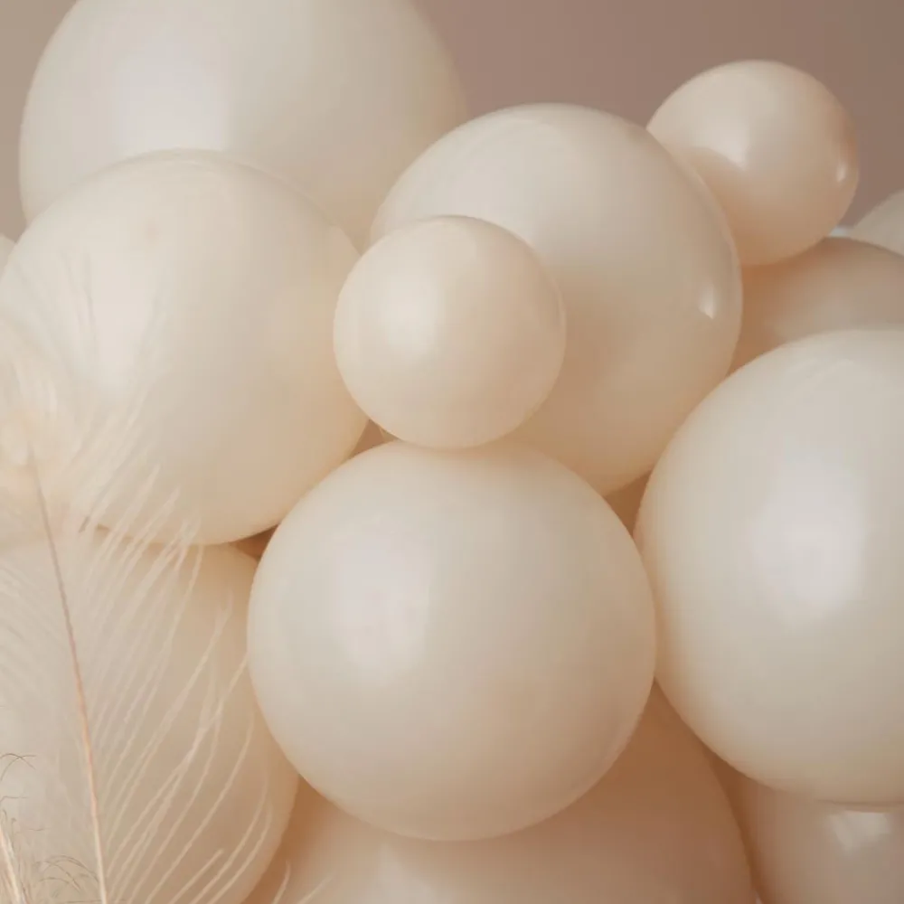 Best Sale Ginger Ray Nude And Chocolate Balloon Arch