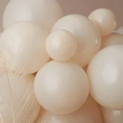 Clearance Ginger Ray Nude And Chocolate Balloon Arch