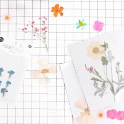 Shop Rico Design Pressed Dried Flowers: Orange, Pink, Turquoise Mix