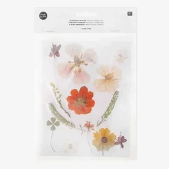 Cheap Rico Design Pressed Dried Flowers: Orange Mix
