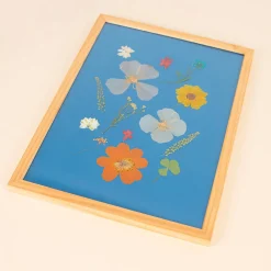 Cheap Rico Design Pressed Dried Flowers: Orange Mix