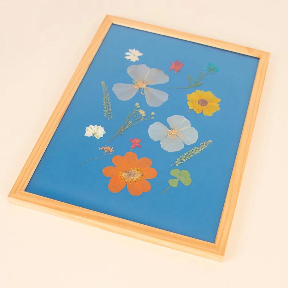 Cheap Rico Design Pressed Dried Flowers: Orange Mix