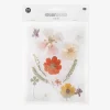 Clearance Rico Design Pressed Dried Flowers: Orange Mix